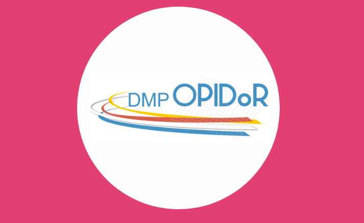 Un modèle de plan de gestion de données CNRS sur DMP OPIDoR