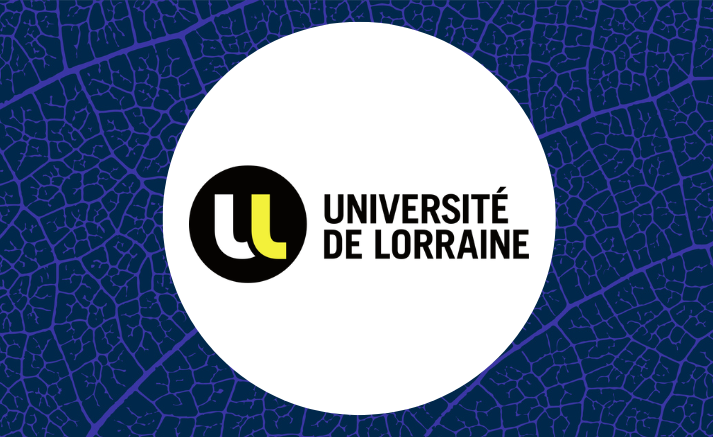 Visibilité renforcée des publications lorraines dans OpenAlex